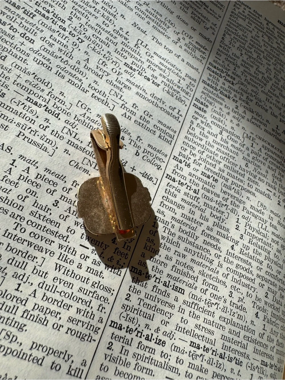 Tigers Eye Clip on Gem